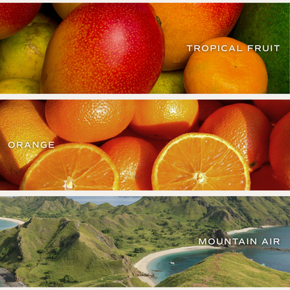 XOXO 15 oz Soy Candle, Matte Jar - Valentine's Day & Gifts