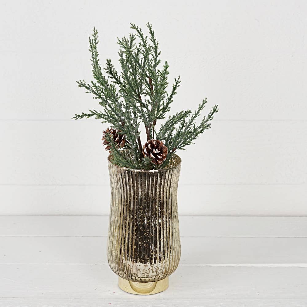 32116-17in Bush-Twiggy Cypress w. snowy pinecones