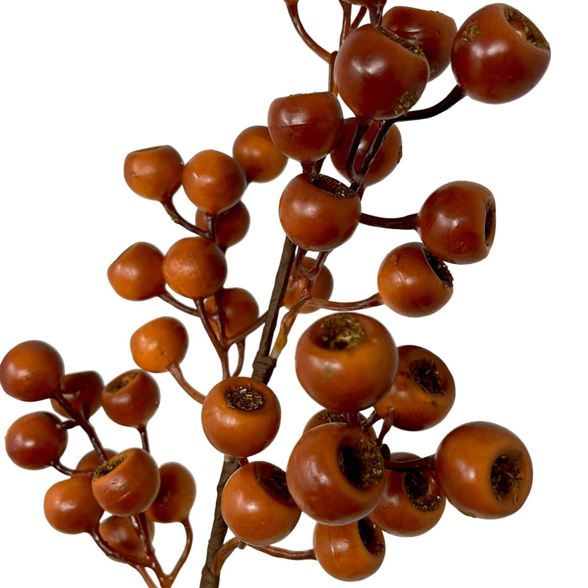 Grand Pod Berry Spray 24" - Orange