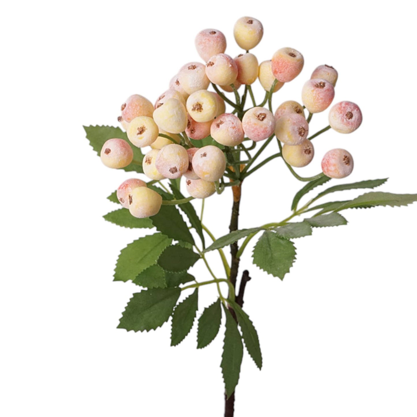 Designer’s Pick – 14” High-End Berry Picks