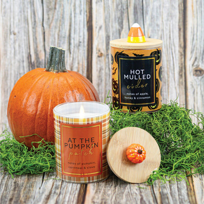 At The Pumpkin Patch – 10oz Fall Scented Gift Candle