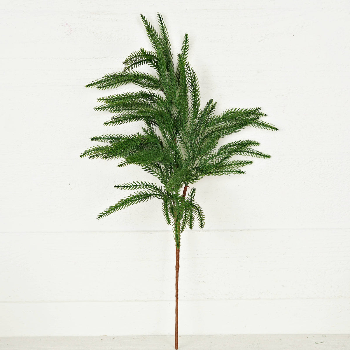 511785- 25in Spray-Soft Touch Fresh Green Norfolk Pine-