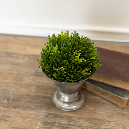 6" GREEN CHICKWEED HALF BALL