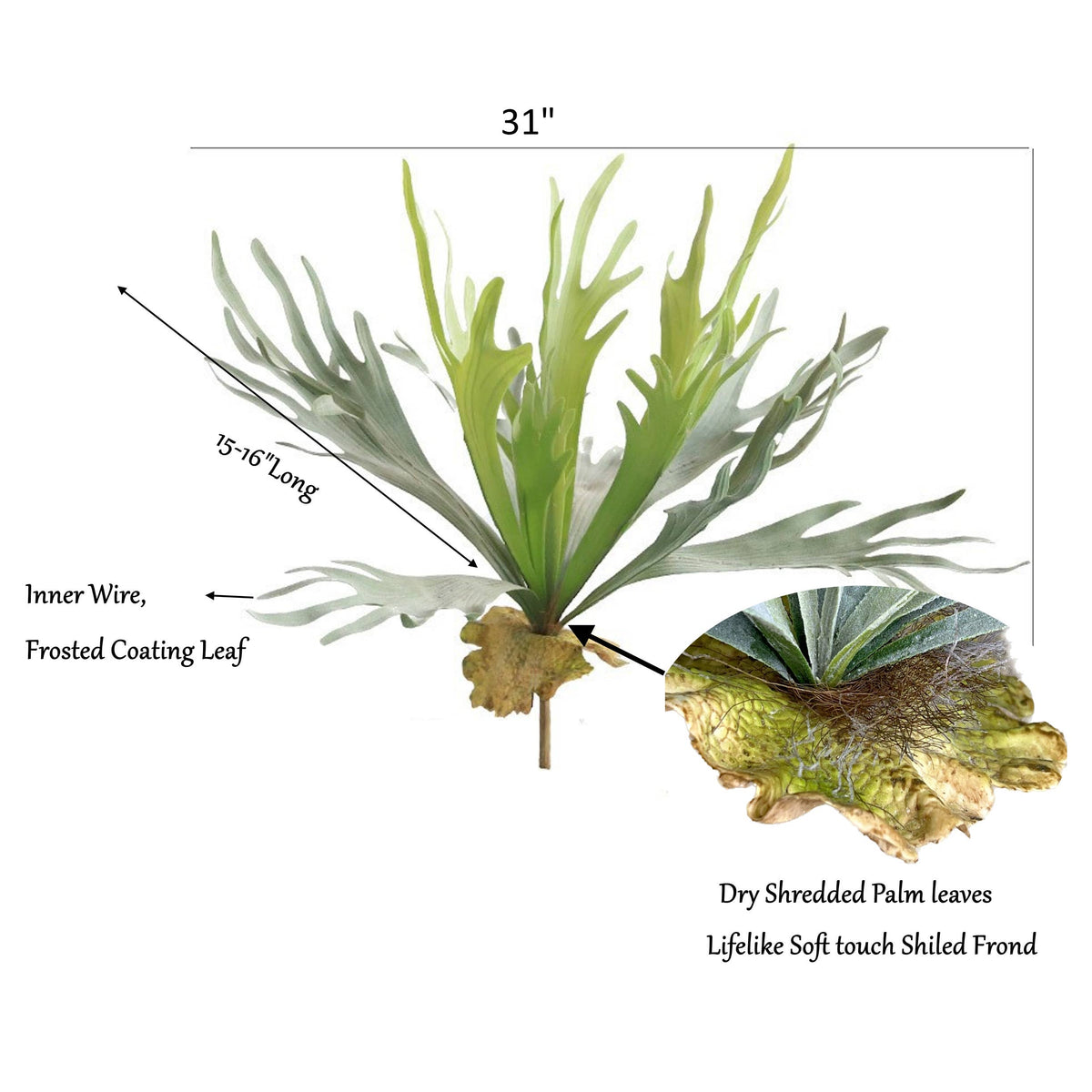 Premium Quality Extra Large Lifelike Staghorn Fern