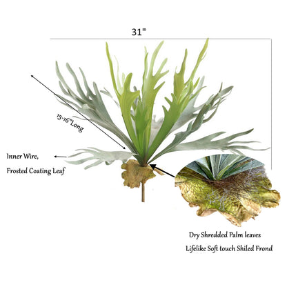 Premium Quality Extra Large Lifelike Staghorn Fern