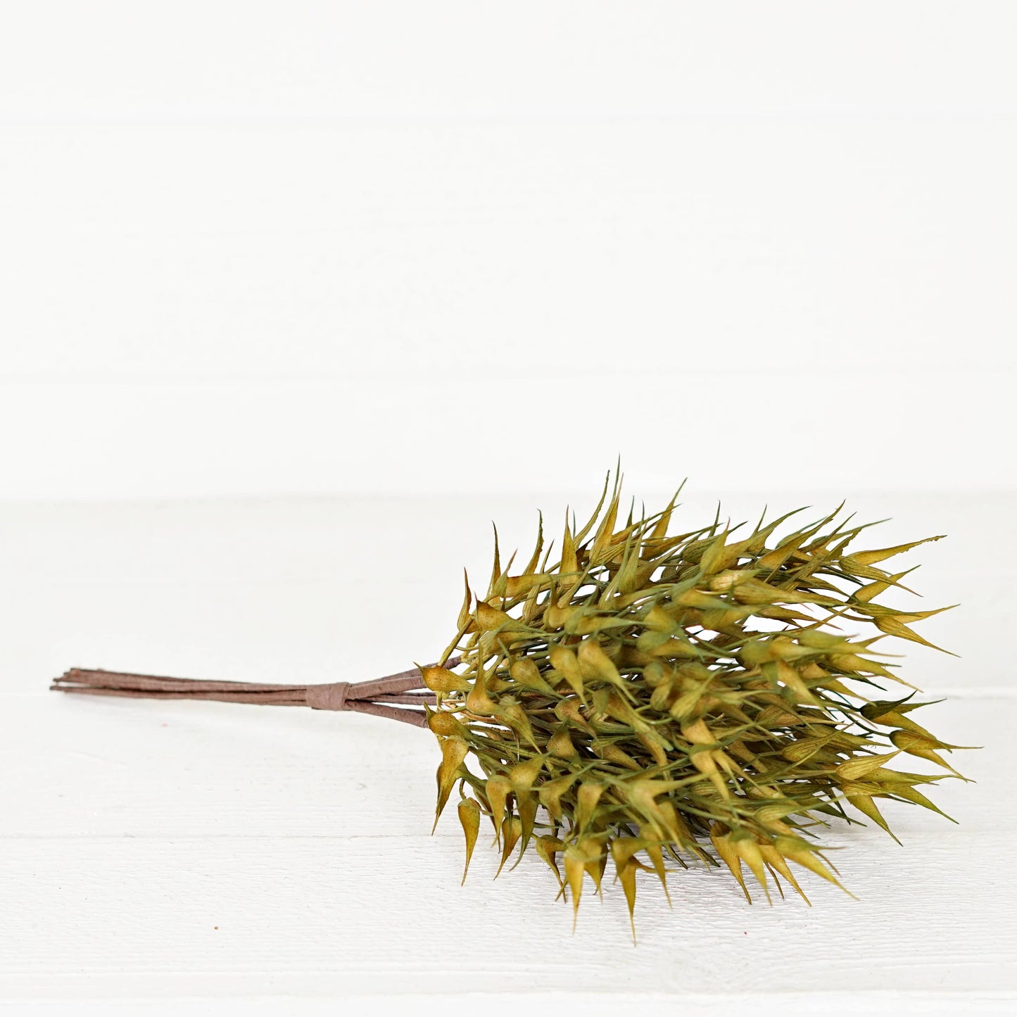 530062- 16in Bush-Sage Bearded Wheat Grass-